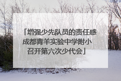 增强少先队员的责任感 成都青羊实验中学附小召开第六次少代会