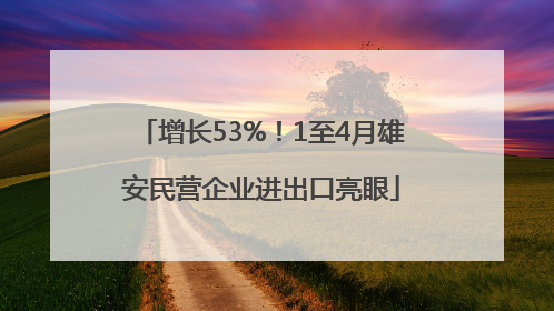 增长53%！1至4月雄安民营企业进出口亮眼