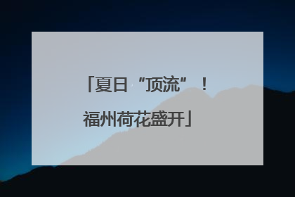 夏日“顶流”！福州荷花盛开