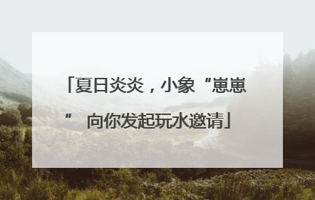 夏日炎炎，小象“崽崽” 向你发起玩水邀请