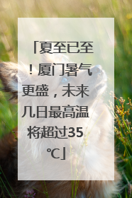 夏至已至！厦门暑气更盛，未来几日最高温将超过35℃