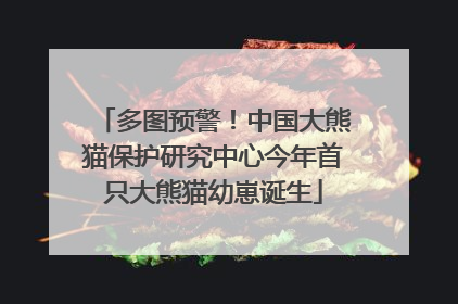 多图预警！中国大熊猫保护研究中心今年首只大熊猫幼崽诞生