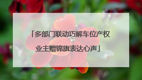 多部门联动巧解车位产权 业主赠锦旗表达心声