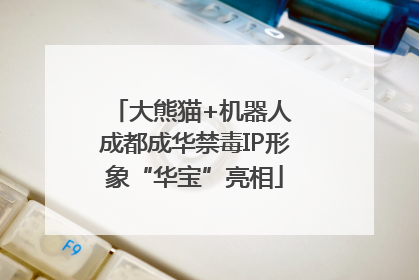 大熊猫+机器人 成都成华禁毒IP形象“华宝”亮相