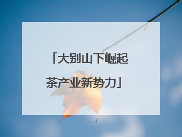 大别山下崛起茶产业新势力