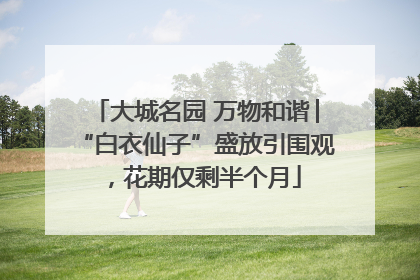 大城名园 万物和谐│“白衣仙子”盛放引围观，花期仅剩半个月