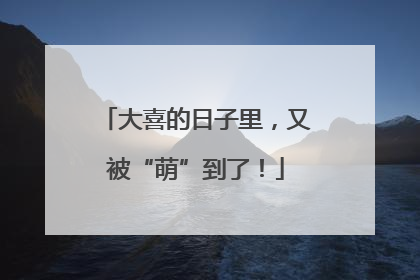 大喜的日子里，又被“萌”到了！
