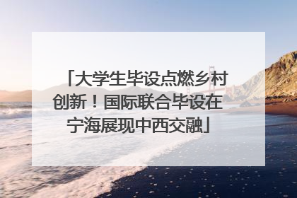 大学生毕设点燃乡村创新！国际联合毕设在宁海展现中西交融