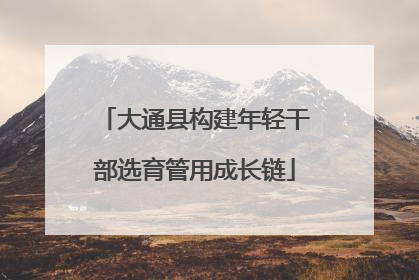 大通县构建年轻干部选育管用成长链