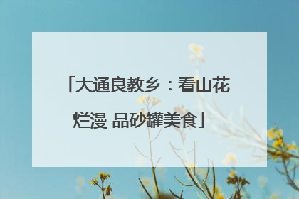 大通良教乡：看山花烂漫 品砂罐美食