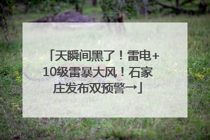 天瞬间黑了！雷电+10级雷暴大风！石家庄发布双预警→