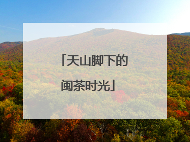 天山脚下的闽茶时光
