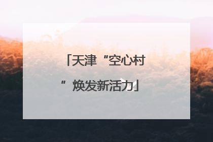 天津“空心村”焕发新活力