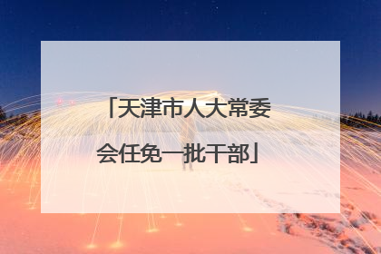 天津市人大常委会任免一批干部