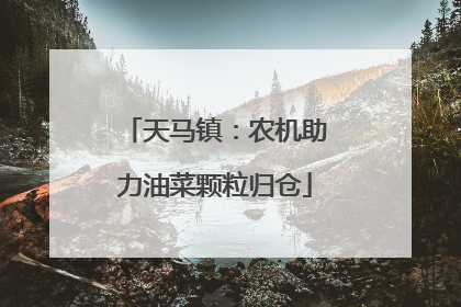 天马镇：农机助力油菜颗粒归仓