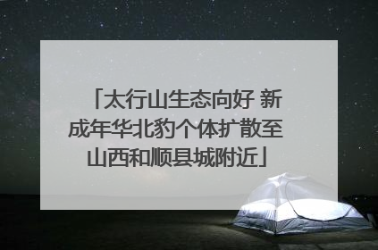 太行山生态向好 新成年华北豹个体扩散至山西和顺县城附近