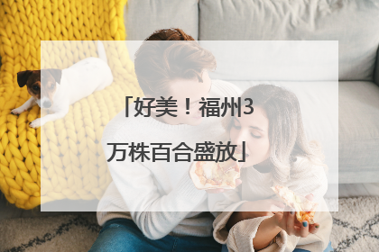 好美！福州3万株百合盛放