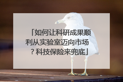如何让科研成果顺利从实验室迈向市场？科技保险来兜底