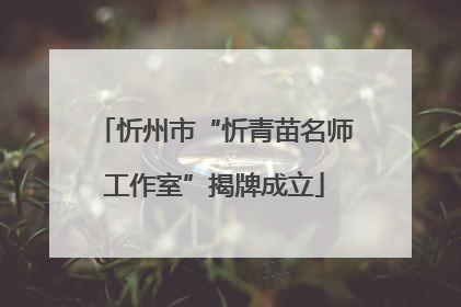 忻州市“忻青苗名师工作室”揭牌成立