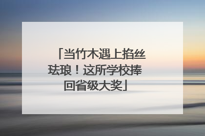 当竹木遇上掐丝珐琅！这所学校捧回省级大奖