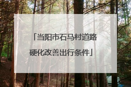 当阳市石马村道路硬化改善出行条件