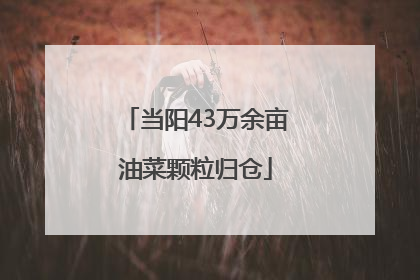 当阳43万余亩油菜颗粒归仓