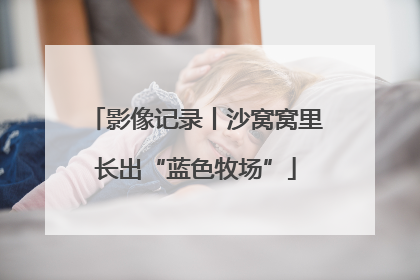 影像记录丨沙窝窝里长出“蓝色牧场”