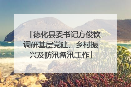 德化县委书记方俊钦调研基层党建、乡村振兴及防汛备汛工作