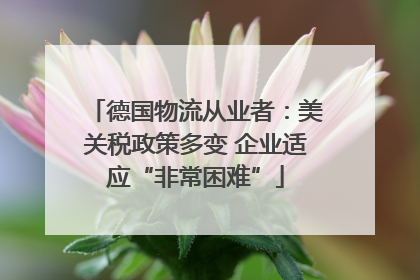 德国物流从业者：美关税政策多变 企业适应“非常困难”