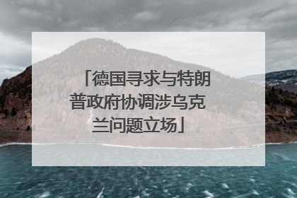 德国寻求与特朗普政府协调涉乌克兰问题立场