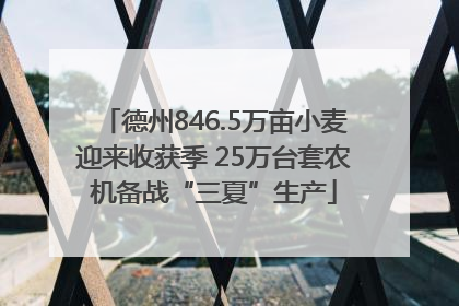 德州846.5万亩小麦迎来收获季 25万台套农机备战“三夏”生产