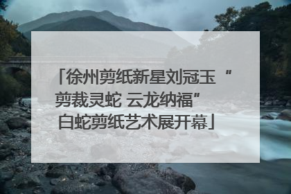 徐州剪纸新星刘冠玉“剪裁灵蛇 云龙纳福” 白蛇剪纸艺术展开幕