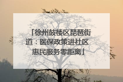 徐州鼓楼区琵琶街道：医保政策进社区 惠民服务零距离