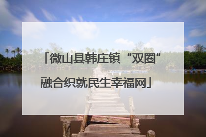 微山县韩庄镇“双圈”融合织就民生幸福网