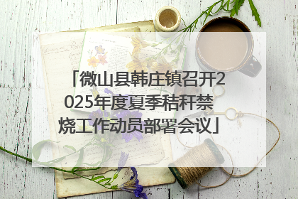 微山县韩庄镇召开2025年度夏季秸秆禁烧工作动员部署会议