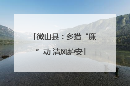微山县：多措“廉”动 清风护安