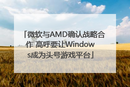 微软与AMD确认战略合作 高呼要让Windows成为头号游戏平台