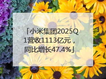小米集团2025Q1营收1113亿元，同比增长47.4%