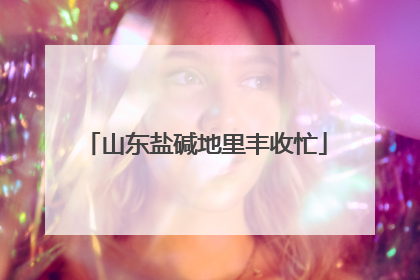 山东盐碱地里丰收忙