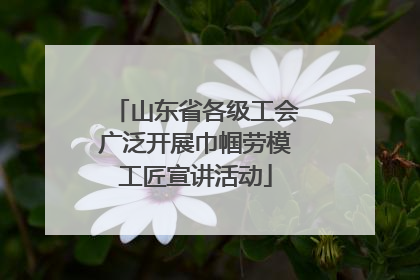 山东省各级工会广泛开展巾帼劳模工匠宣讲活动