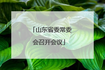 山东省委常委会召开会议