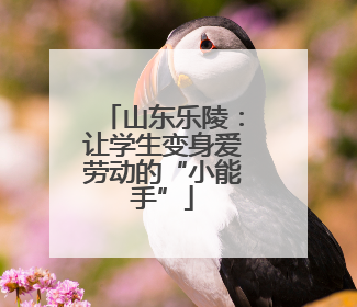 山东乐陵：让学生变身爱劳动的“小能手”