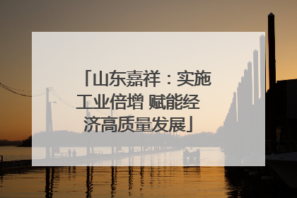 山东嘉祥：实施工业倍增 赋能经济高质量发展