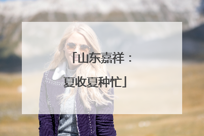 山东嘉祥：夏收夏种忙