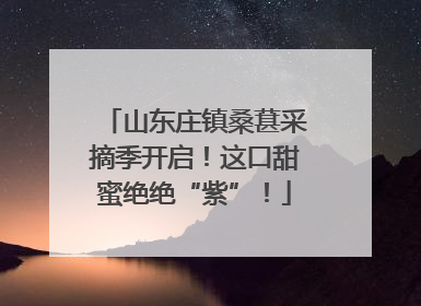山东庄镇桑葚采摘季开启！这口甜蜜绝绝“紫”！