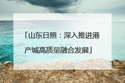 山东日照：深入推进港产城高质量融合发展