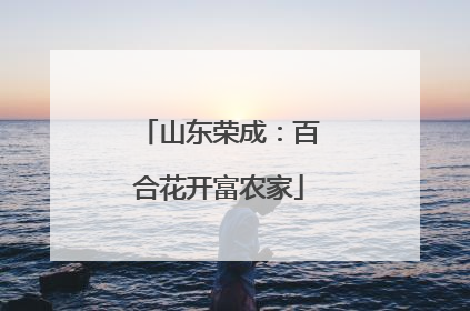 山东荣成：百合花开富农家