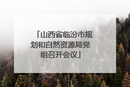 山西省临汾市规划和自然资源局党组召开会议