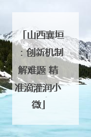 山西襄垣：创新机制解难题 精准滴灌润小微