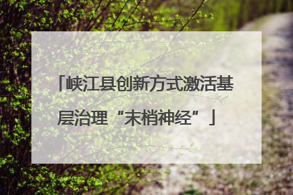 峡江县创新方式激活基层治理“末梢神经”